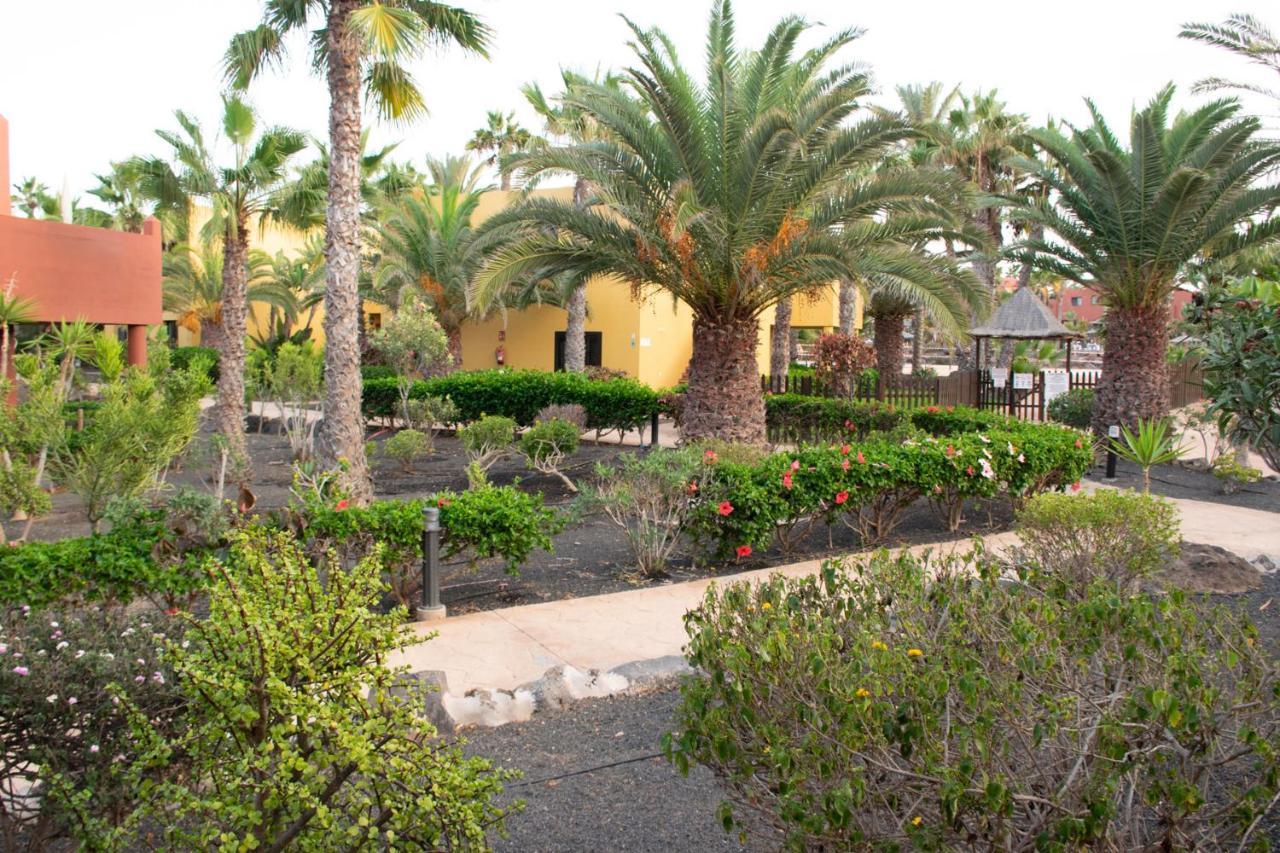 Casa Isabel, The Perfect Home For Your Holidays In コラレホ エクステリア 写真